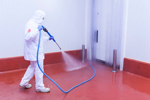 Best Gutter Cleaning and Brightening in Sheboygan Falls, WI